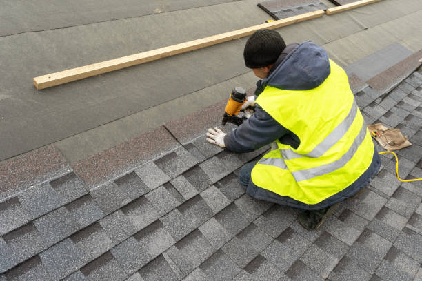 Roof Gutter Cleaning in Kyle, TX